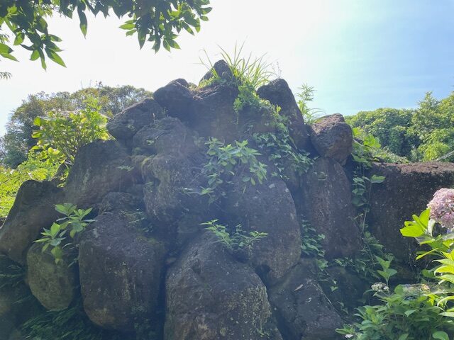 リンちゃんフル起動