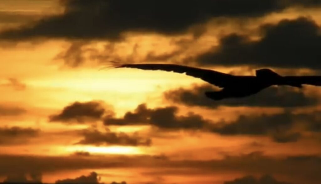 ねぇ、、、おぼえてる？