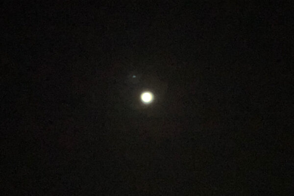 我から観る ワタシのイママデ・イマ・コレカラ