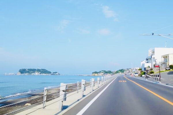 【思考とトキ】